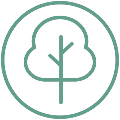 Oorsprong: ons hout groeit traag, maar is daardoor veel steviger en gaat minder vervormen