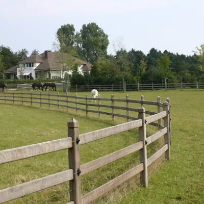 Clôture en bois incurvée avec 3 lisses, poteaux carrés et fils électriques sur un pâturage pour chevaux