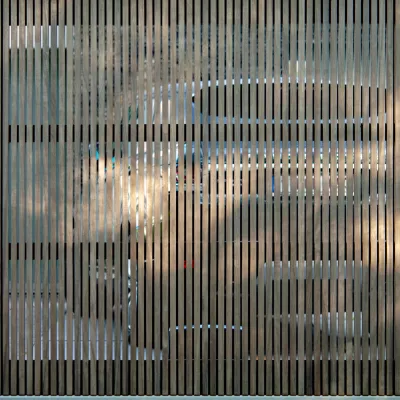 Une porte en bois transparente avec des planches verticales étroites
