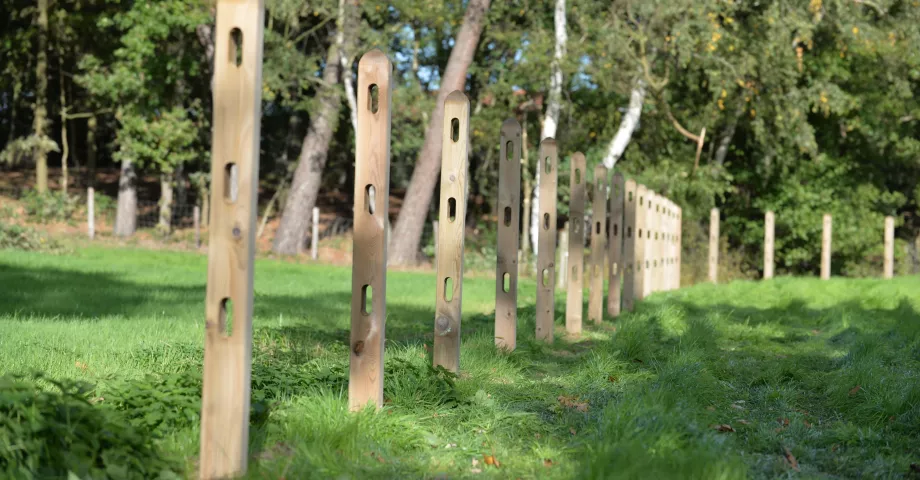 Poteaux carrés en bois avec trois trous pour les étagères