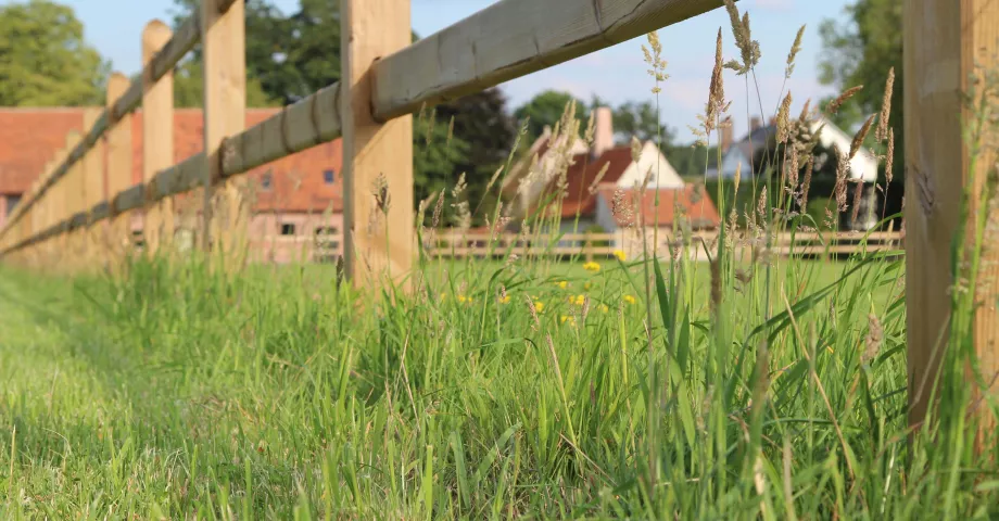 Rail en bois qui coulisse à travers les poteaux d'une clôture en bois