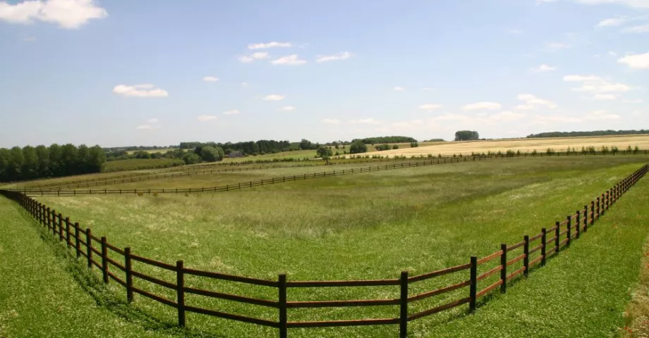 Clôture en bois incurvée avec poteaux ronds et trois lisses