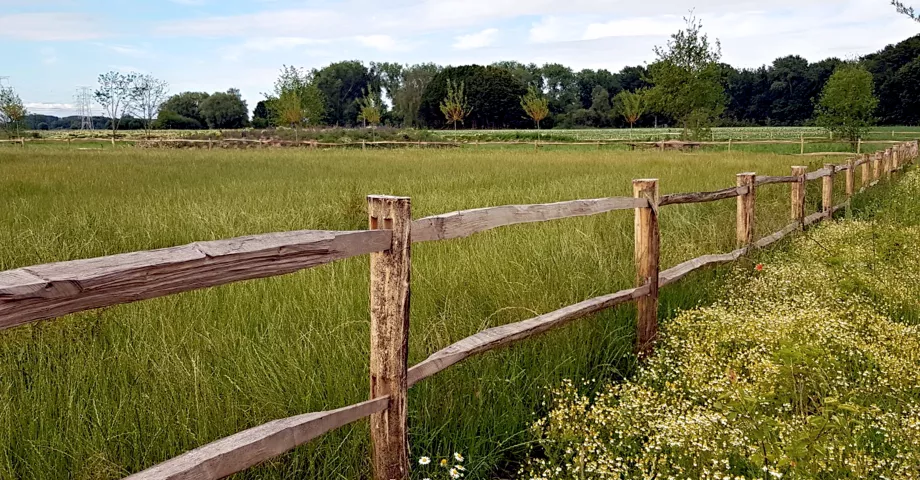 Clôture en bois de robinier avec poteaux arrondis.